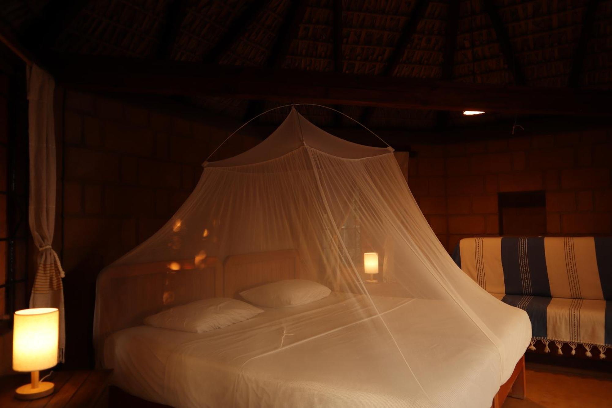 Hotel La Loma Linda, Bungalows, Yoga And Feldenkrais, Starlink Internet